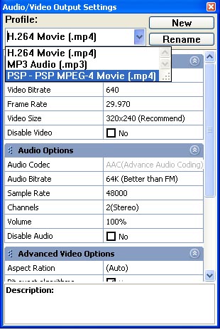 dvd to ipod video